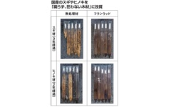 スギやヒノキを腐らなくする技術開発、無塗装・メンテフリーで30年
