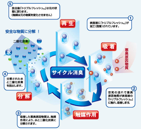 ルノン 空気を洗う壁紙 が2ケタ増でヒット インタビュー リフォーム産業新聞