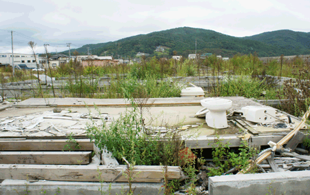 沿岸部はコンクリ基礎のみ残したまま手つかずの状態
