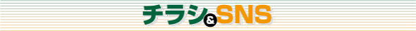 チラシ＆SNS