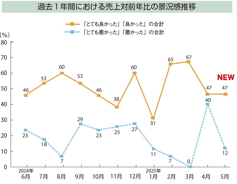 景況感調査2025年5月　棒グラフ